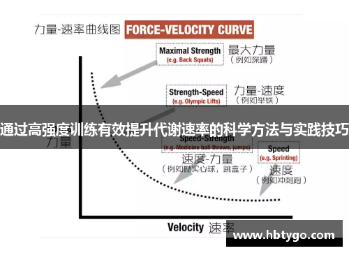 通过高强度训练有效提升代谢速率的科学方法与实践技巧